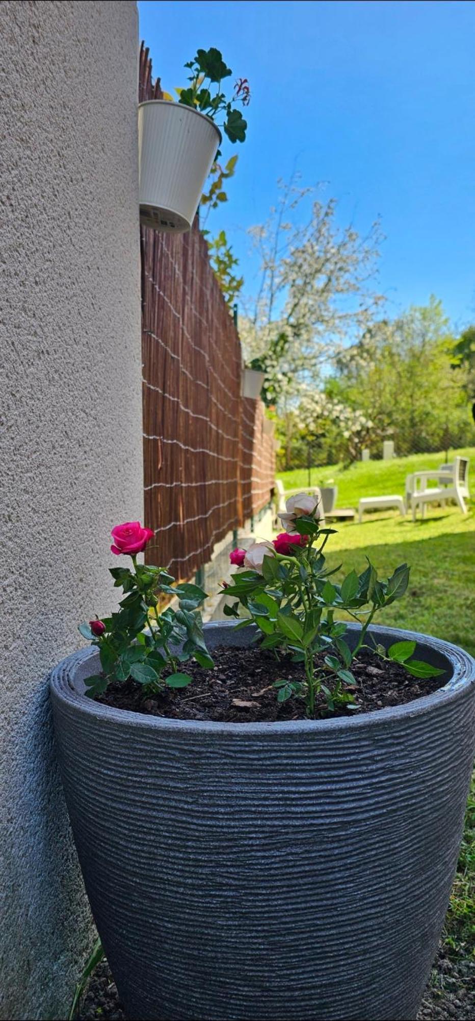 Appartement Lumineux Et Calme En Rez-De-Jardin Castanet-Tolosan Exteriér fotografie